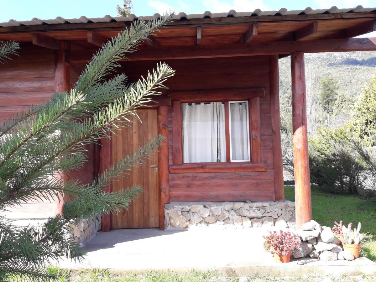 El Jarillal Chalet de Montaña a pasos del lago Lago Puelo Exterior foto